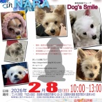 保護犬 ～預かり日記～