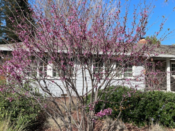 主治医のメールで落ち込む