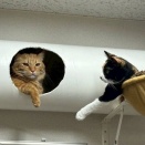 たお君と萌乃ちゃん