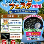 凸凹めだか凸凹の正直しんどい