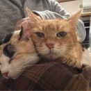 ふたりが仲良くなる過程　20251127