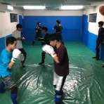 ブラジリアン柔術 修斗 総合格闘技道場 パラエストラ和泉blog