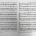 指揮者 畠山渉の”Next Up!"