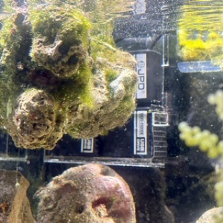 Beach Field　いいかげん日記帳Ⅲ