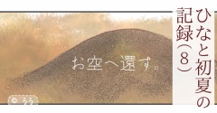 ひなと初夏の記録（8）ーお空へ還す。残されたひなのゆくえー