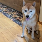 いのちの授業　鈴木中人