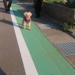 churahamaのブログ