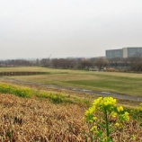 『先日降った雨の影響がようやく解消しました』の画像
