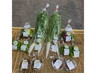 野菜・原木しいたけ・原木なめこ収穫＆出荷