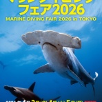 久米島ダイビングブログ　大物、地形エキスパートショップ