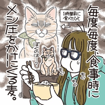 のぞきかた