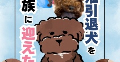 繁殖引退犬を家族に迎えた話05