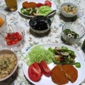 アガパンサス　～だし巻き玉子焼きの朝ご飯、コロッケの晩ご飯～