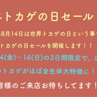 爬虫類倶楽部仙台店ブログ