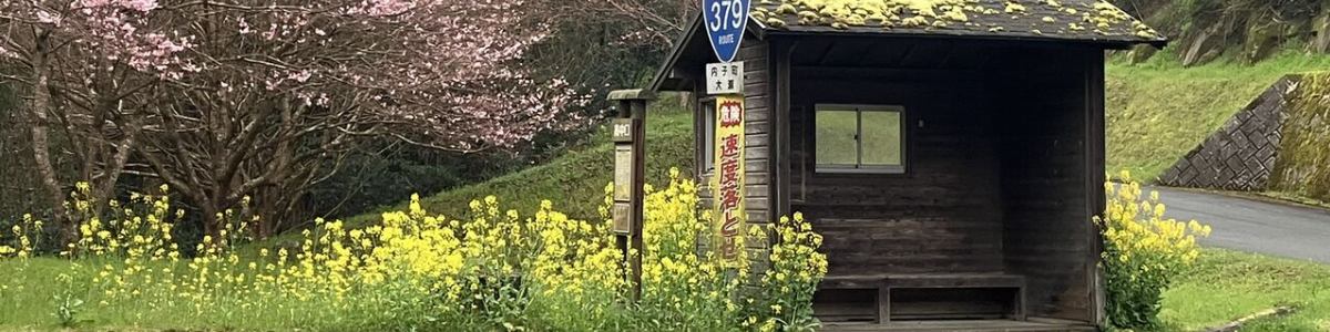 変形性膝関節症おへんろ日記 イメージ画像