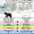 (ののちゃんのDO科学）シロクマも冬眠するの？