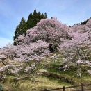 奈良のほうが大阪より早かった　　　②