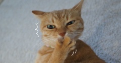 つい愚痴を…