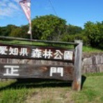 skivaca速報