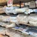 ベット春夏セール中