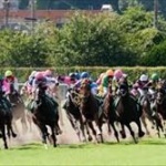 競馬・アーモンドアイの単勝に人生賭けた奴が発見されるｗｗｗｗｗｗ 	