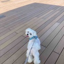 暑い夏の過ごし方