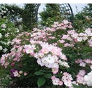 ワンポイントで伝える課長の言葉はよく部下の頭に入る！