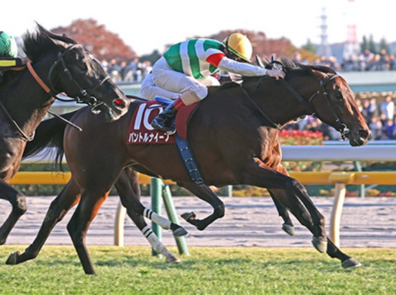 【皐月賞】パントルナイーフ、ルメール乗るけどどうなん？