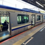 ディスカスの逍遥日誌