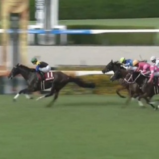 競馬総合まとめ速報