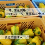 『一推し生産現場「リッチフィールド栗原株式会社」』の画像