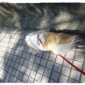 暑くて～!
