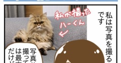 弟子入りしたい！我が家のすご腕カメラマン