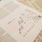 Camino! Camino! Camino! -スペイン巡礼-