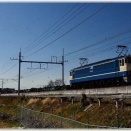 晴天の春色見沼田んぼで　ＥＦ６５－２０８７号機（国鉄色）牽引武蔵野貨物７５列車＆７８列車