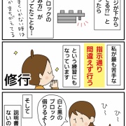 失敗した！！ブロック玩具