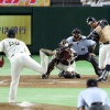 日ハムレアード(4年目)、東京ドーム通算37試合でホームラン19本ｗｗｗ