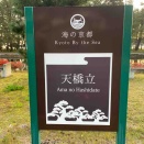 天橋立　文珠荘宿泊