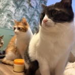 ふりむけば石川