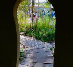 ２０２６.福岡フラワーショー後編