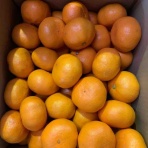 志津駅前　八百屋さん