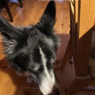 【季節のフルーツ】美味しすぎて家族は夢中！この美味しさの秘密は何？