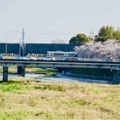 京都へ行って来ました4…八坂さんと円山公園