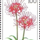 切手に見る知ってて得する話６．彼岸花（曼殊沙華）の科学：美しさに隠された「毒」と先人の知恵－