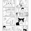 にゃんこ隊P3〜P4