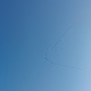 目的のものは売り切れで落胆したがチキンで笑顔になった私