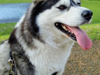 最近そいえば流行ってないなってものwwwwwwwwwwwwwwwwwwwwwwwwwww