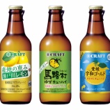 『「寶CRAFT」＜瀬戸田レモン＞・＜馬路村ゆず＞・＜愛媛 宇和ゴールド＞リニューアル』の画像