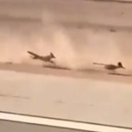 ネタ動画.ＣＯＭ