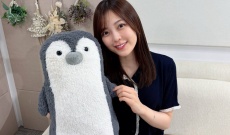 【乃木坂46】柴田柚菜が本日のぎおびに登場…いったい何を語る？！